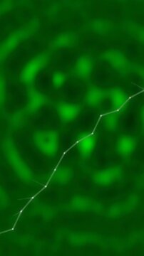 Abstract Green Digital Waveform Data Visualization Animation.