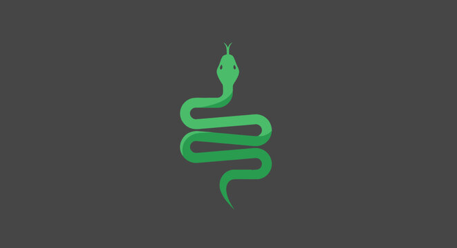 Green, coiled snake on gray