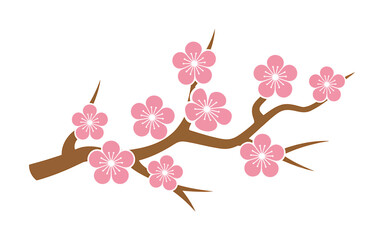 Cherry blossom branch with pink flowers  beautiful spring tree detail