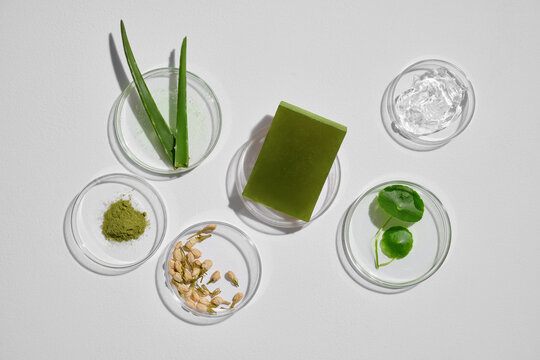 An overhead shot showcasing skincare ingredients