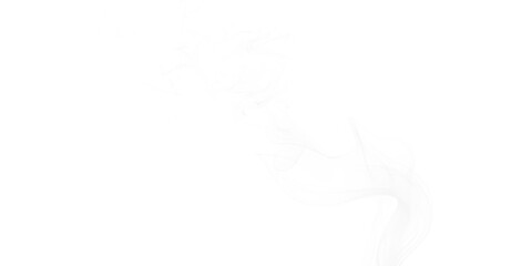 Flowing white smoke wisps on black background ethereal vapor trails elegant curves for abstract graphic designs textures