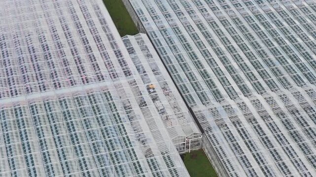 Aerial view of rows of greenhouses with glass roofs reflecting the sky, creating a geometric pattern, Kergadavarn, Bretagne, France.