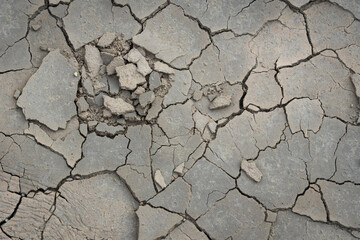 Eroded dry soil surface with natural fissure details.