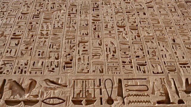 Closeup of ancient Egyptian hieroglyphic inscriptions with cartouches and bird symbols carved in sandstone wall at Medinet Habu temple in Luxor Egypt, detailed royal text. 