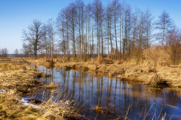 Wiosna wkracza w Dolinę G&oacute;rnej Narwi, Podlasie, Polska