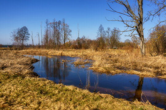 Wiosna wkracza w Dolinę G&oacute;rnej Narwi, Podlasie, Polska