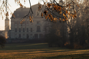 Wiosenny mglisty i słoneczny poranek w parku.  © Elżbieta Kaps