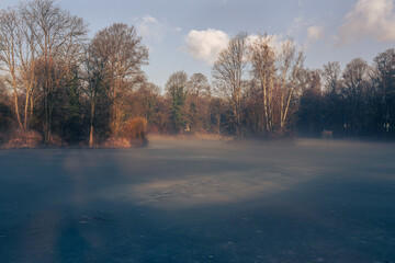 Wiosenny mglisty i słoneczny poranek w parku.  © Elżbieta Kaps