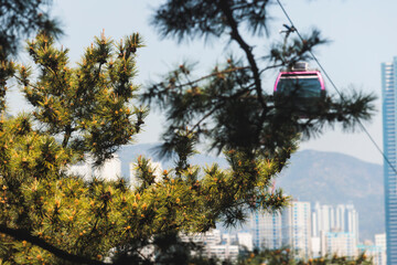 Busan Air Cruise, Busan cable car, ride on multicoloured sky capsule gondola route, with Songdo beach and Skywalk and Busan Bay panorama, South Korea, Songdo Station in a spring sunny day © tsuguliev