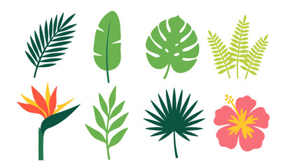 Tropical leaves and exotic plant flat icons set, jungle palm monstera foliage botanical collection on transparent background © gerik_a