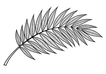 Intricate black and white illustration of a fern leaf with detailed patterns