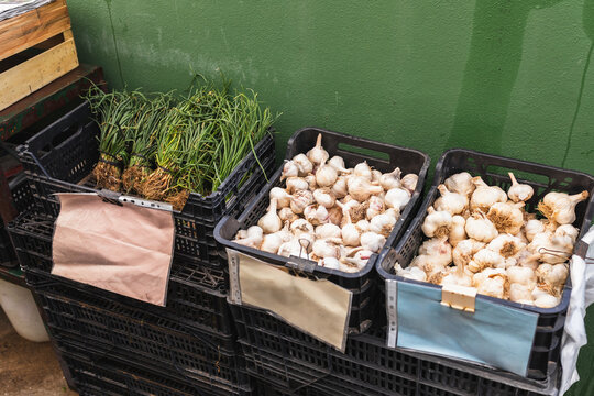 Fresh garlic and scallions in crates