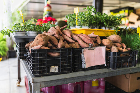 Sweet potatoes in a local shop