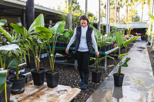 Woman working in plant nursery