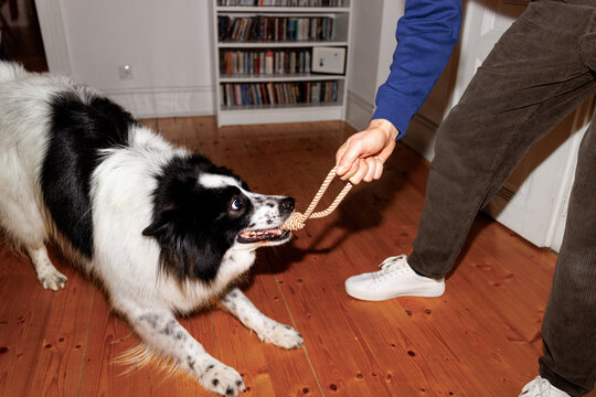 Tug of war