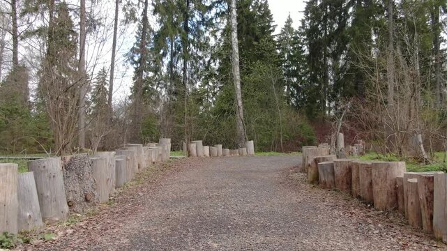 Low drone flight along forest trail