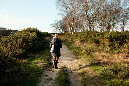 Winter Walk Through Heathland Path
