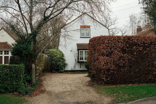 Quaint House with Winter Foliage
