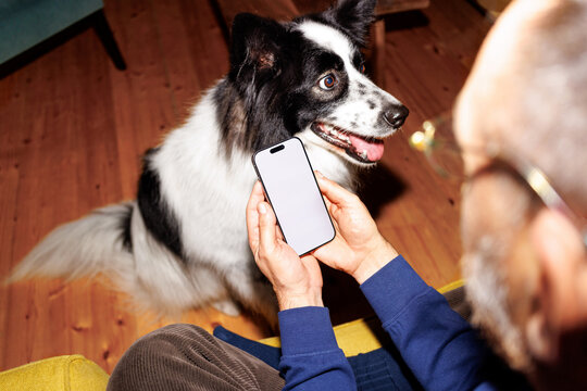 Cellphone user and loyal dog
