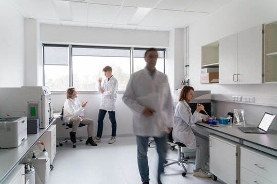 Usual Workday in Modern Laboratory Room