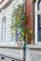 maibaum mit bunten kreppb&auml;ndern am haus