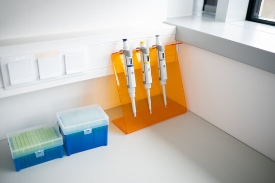 Laboratory Tools Arranged on a Table 