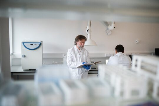 Scientists Working In The Lab