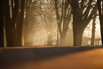 Mglisty poranek w parku w Goczałkowicach w promieniach wschodzącego słońca © Elżbieta Kaps