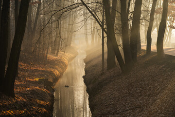 Mglisty poranek w parku w Goczałkowicach w promieniach wschodzącego słońca © Elżbieta Kaps