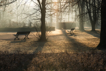 Mglisty poranek w parku w Goczałkowicach w promieniach wschodzącego słońca © Elżbieta Kaps