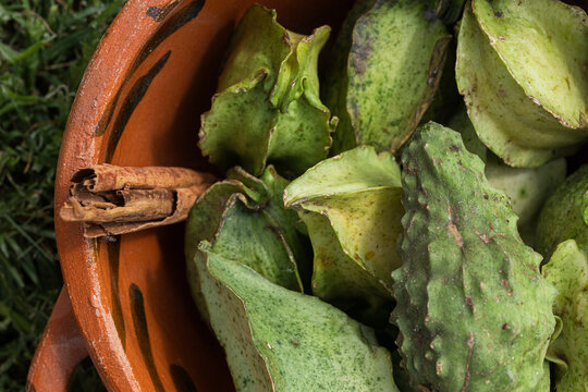 Green plant materials with cinnamon stick detail