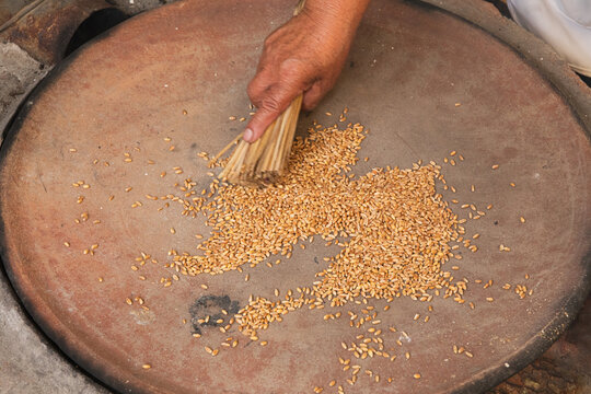 Hand Sorting wheat grains on Clay Pot Surface