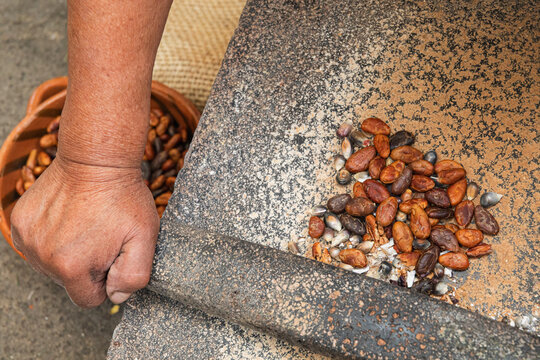 Cacao beans being crushed on stone surface