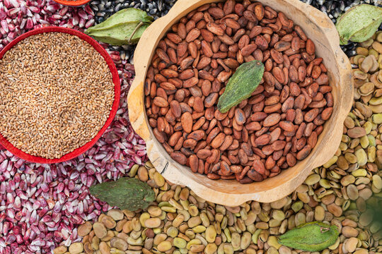 Variety of Seeds and cacao on Rustic Background