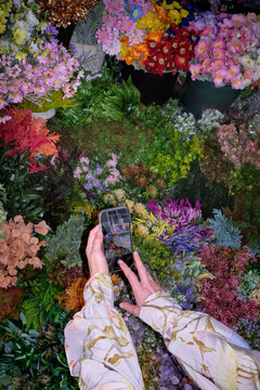 Too Many Flowers to See
