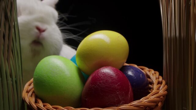 White rabbit peeks at colorful easter eggs in woven basket, dried grass, glossy pastel shells catching light against black background studio closeup shows fluffy fur, twitching nose, gentle sniffing