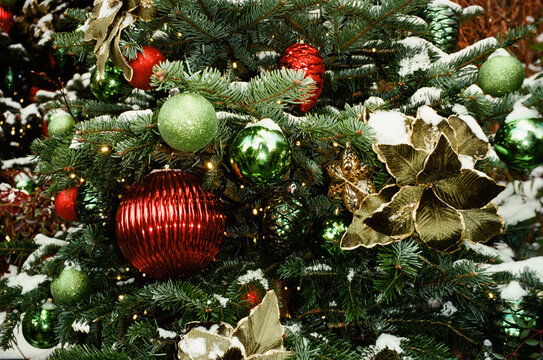Close-up of decorated Christmas tree with ornaments  
