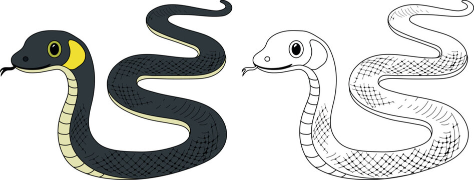 Coloring page with grass snake (Natrix natrix) isolated on white background