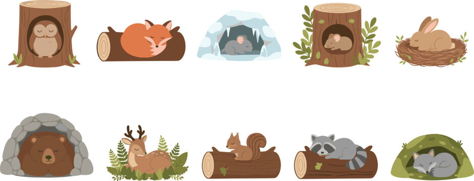 Minimal hand-drawn vector illustration set of animals sleeping in natural habitats including caves, logs, nests, and grassy dens in clean line art style