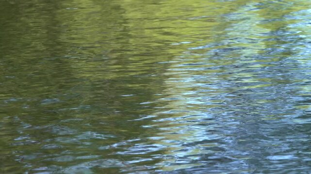 Distorted Mirror Reflections of Sky and Trees on River Waves.