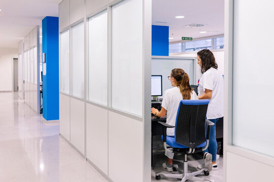 Pharmacists working in hospital pharmacy department