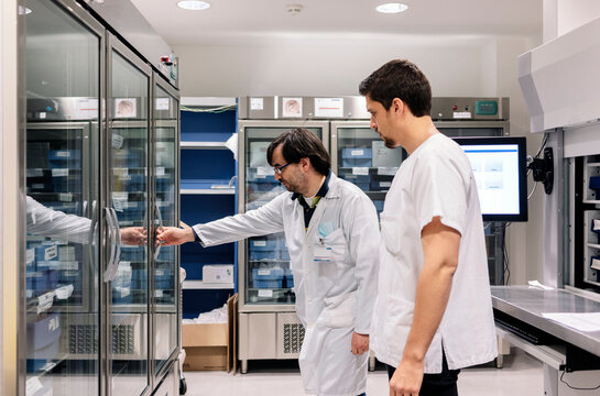 Pharmacists managing hospital pharmacy inventory of medicine