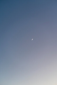 Crescent Moon in Evening Sky 