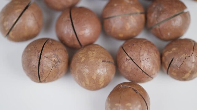 Closeup of crunchy nuts. Whole macadamia nuts with textured brown shells sitting naturally. Vivid photo of unshelled macadamia nuts arranged on bright studio backdrop