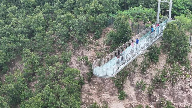 The Glass Bridge in Rajgir, Bihar, offers panoramic views of lush hills and valleys. Built with transparent tempered glass, it attracts tourists seeking adventure, scenic beauty, and elevated skywalk 