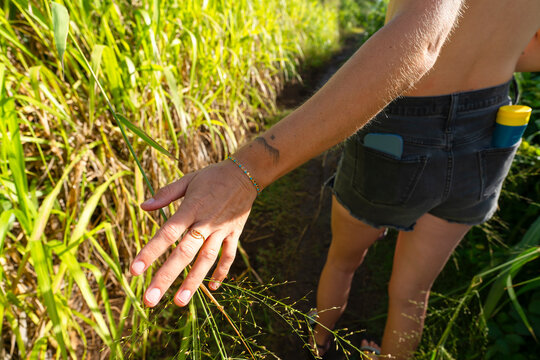 hand touching grass on sunny day