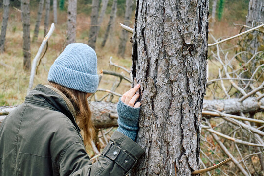 Woman placing her hand on a pine tree