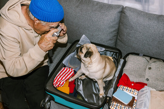 A person is taking a picture of a dog.