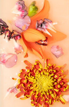 Flowers in orange water