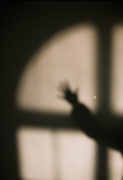 Shadow Behind the Glass